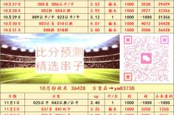 维京VS瓦勒伦加比赛——比分预测