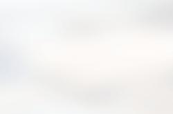 操作过于下飯(fàn)，结局何其荒诞