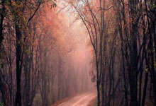 电竞春晚来袭！S15全球总决赛落户中国，