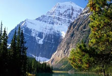 任正非，最新(xīn)动态！